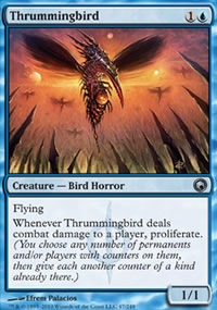 Thrummingbird - 