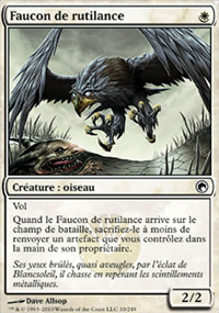 Faucon de rutilance - 