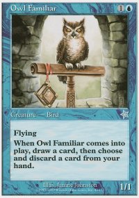 Familier hibou - Starter