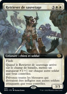 Retriever de sauvetage - 