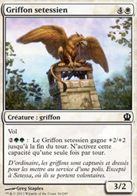 Griffon setessien - 