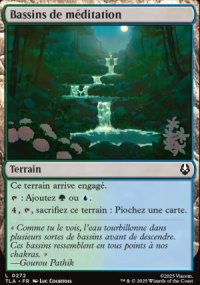 Bassins de mditation - Avatar: The Last Airbender