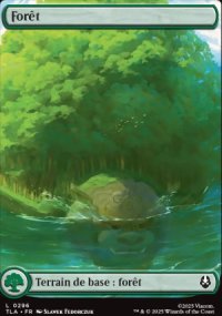 Fort - Avatar: The Last Airbender