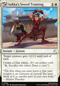 Sokka's Sword Training - Avatar: The Last Airbender Eternal-Legal