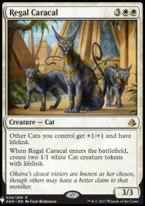 Regal Caracal - 