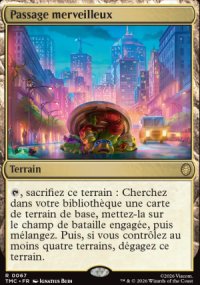 Passage merveilleux - Teenage Mutant Ninja Turtles Eternal Legal