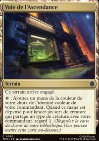 Voie de l'Ascendance - Teenage Mutant Ninja Turtles Eternal Legal