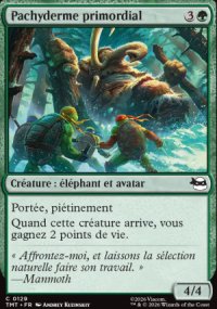 Pachyderme primordial - Teenage Mutant Ninja Turtles