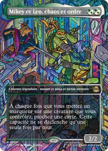 Mikey et Leo, chaos et ordre - Teenage Mutant Ninja Turtles
