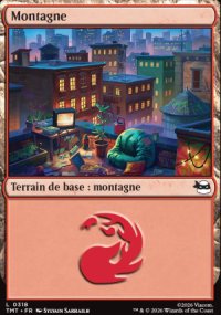 Montagne - Teenage Mutant Ninja Turtles