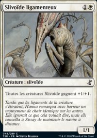 Slivode ligamenteux - 