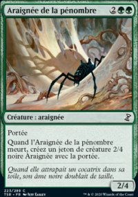 Araigne de la pnombre - 