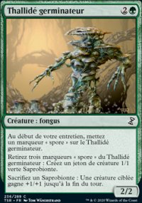 Thallid germinateur - 