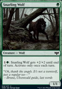 Snarling Wolf - 