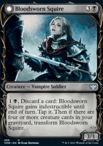 <br>Bloodsworn Knight