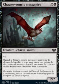 Chauve-souris messagre - 