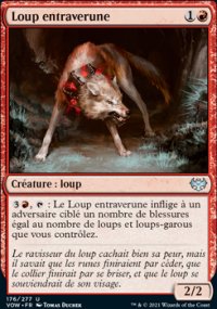 Loup entraverune - 