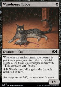 Warehouse Tabby - 