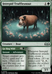 <br>Go Hog Wild - 