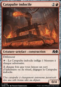 Catapulte indocile - 