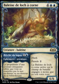 Baleine de loch  corne<br>Brche du lagon - 