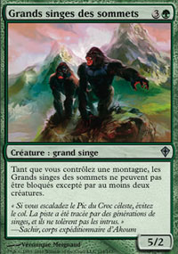 Grands singes des sommets - 