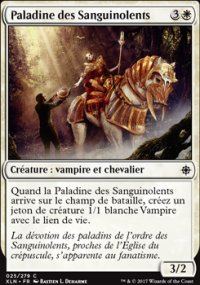 Paladine des Sanguinolents - 