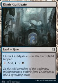 Dimir Guildgate - 